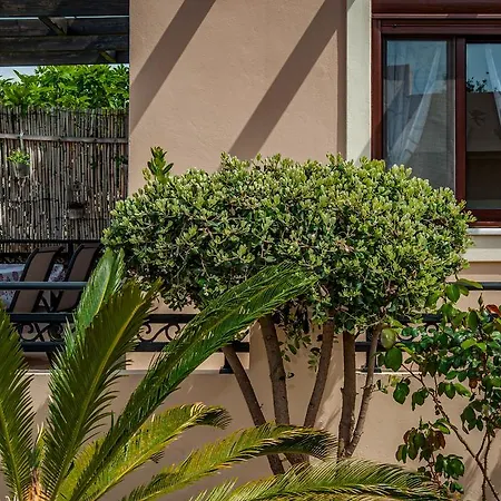 Kyriaki's Cozy Appartement Agia Marina